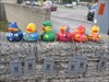 MAGNET O DUCK & the Other Super Hero Ducks... begin their travels.