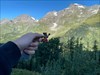 The beginning of an amazing road through the Austrian Alps! Registro de imagen subido desde Geocaching® app.