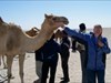 P:\1 MaxB with Camel.jpg