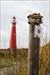 Cabe le Car and the lighthouse of Schiermonnikoog