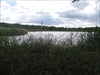 L'étang de Vernange
