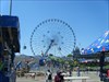 Texas Star Ferris Wheel Texas 2008 State Fair
