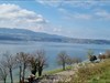  Am Zürichsee.....