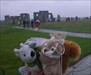 Stonehenge Eunice with her TB friend Squirrels Squirrel enjoying a day out at Stonehenge (in the British Summer Weather  - RAIN)