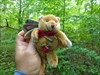 TB Angel Bear @ Lullwater Preserve