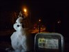 image Arrr!!!I entered germany and this colossal  snowman! Enemies,watch out...