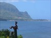 Hotspur on his way to Hanalei. Hotspur takes in the view from Princeville on his way to see Puff the Magic Dragon.