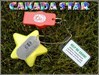 “Canada Star” is joined by its first little companion. Let&#39;s all make this bug&#39;s trip a little more interesting!