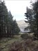 Dovestones Greenfield Took moose for a walk in the woods after visiting deer at Dunham Massey on Saturday. View from plantation where you can see planes on ther way to Canada from Manchester airport. Hope to set Moose free in Wales from Saturday 20th