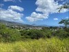 Nearby viewpoint from a cache on Diamondhead in Hawaii.  Log image uploaded from Geocaching® app