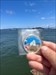 Visited this cache on the edge of a ferry terminal in SF with great views of the bridge and Alcatraz island.
 Log image uploaded from Geocaching® app