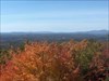 Fire Tower view.