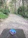 The coin enjoyed a little walk in the woods near Boston Spa this morning  Log image uploaded from Geocaching® app