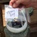 Horses Smile Left you in a nice cache in a beautiful location.   I placed you in a plastic sealed bag for safe keeping.  Safe Travels.