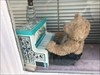 He’s playing the piano today. Log image uploaded from Geocaching® app