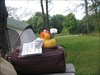 Camping at Clifty Falls State Park, Indiana