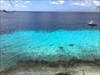 Greetings from Bonaire?? Image du log téléchargée depuis l&#39;appli Geocaching®