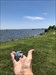Left Bruce the shark in a cache near a boat ramp along the Chesapeake Bay. Hopefully he doesn’t get lost traveling down the bay to see the Atlantic Ocean.  Log image uploaded from Geocaching® app