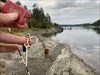 Sånn, da er kroken ved vannet, Oslofjorden. To karer fikk fisk på brua mellom Nesøya og Brønnøya da vi kom forbi ?????????????????? Loggbilde lastet opp fra Geocaching®-appen
