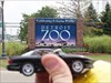 Detroit Zoo 1