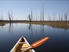 Canoe Tour mit Coin In den Minesing Wetlands.