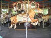 The Antique Wooden Horses