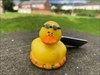 I found you little ducky!! Log image uploaded from Geocaching® app