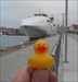 duckie2 In Visby Haarbour