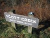 Scott Creek overlook - even higher now