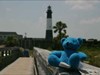 Blueberry Bear at Tybee Island Lighthouse