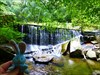 Park waterfall Susquehana State Park, MD
