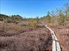 Visited Ponemah Bog in Amherst, NH 2/24/24 Log image uploaded from Geocaching® app
