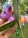 Hi my name is Zig Zag the Unicorn (Zigs for short). I met my new friend Signal in Germany when he got separated) Duck. He still misses Duck but we are having lots of fun traveling around together. Help us see some more sights!
 Log image uploaded from Geocaching® app