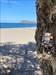 In Gerani aan het strand is het fijn vertoeven en met eiland Theodourou op de achtergrond  Logfoto verzonden vanuit de Geocaching®-app