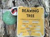 NCEES At Bearing Tree With Data