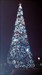 6 Epcot Christmas tree