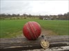 Cricket View, Newtown Linford