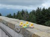 The Fairy Ducks on top of Mount Mitchell. Mount Mitchell is the highest point east of the Mississippi River.