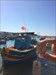  Marsaxlokk Harbor. With the &quot;luzzu&quot;, the traditionnal fishing Bost.