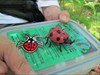 Huson Mills Ladybug starts its travels