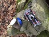 In woods It was a great cache hunting with Optimus. Unfortunately, he did not fit into the box...