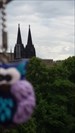 die Eule und der Kölner Dom