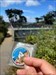 Found this cache near the Presidio in front of the tennis/pickle ball courts.
 Log image uploaded from Geocaching® app