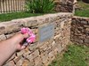 Pinky at Calamity Jane's grave