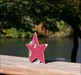 Travel Star on the river Travel Star visits MaxB&#8217;s on the St. Joseph River in Michigan.