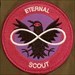 Eternal Scout Welcome to Nightvale podcast