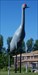 9 Worlds Largest Sandhill Crane