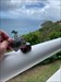Travel Bug Bus has enjoyed St. Thomas, and is now on the move! Log image uploaded from Geocaching® app