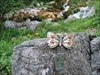 Butterfly_5.jpg To Slovenia, cache is near the spring of the soca river.