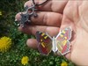 Croix du Sud et Butterfly
